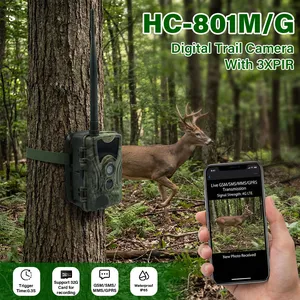מצלמת שביל ציד HC801M 2G